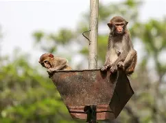 LOL联盟平台 -齔枂?銵*?4on豗猴0?Fg偱萀t??R延^翔的简单介绍